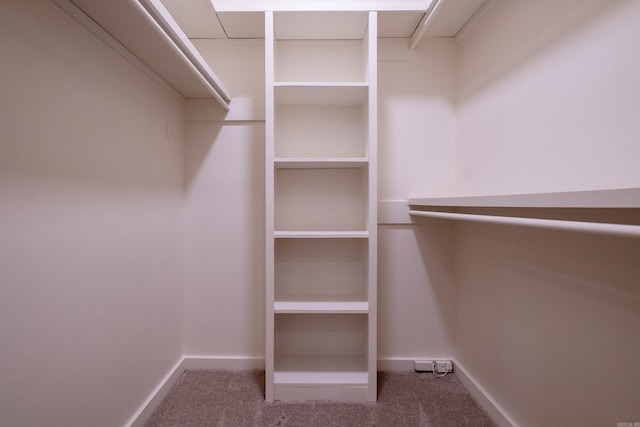 walk in closet featuring carpet flooring