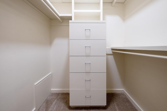 spacious closet featuring carpet floors