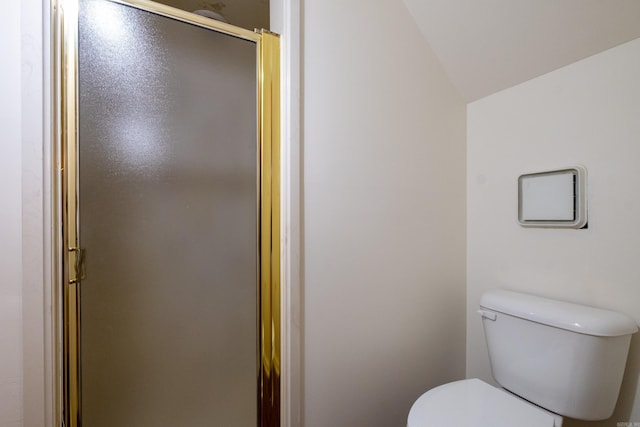 bathroom with walk in shower, lofted ceiling, and toilet