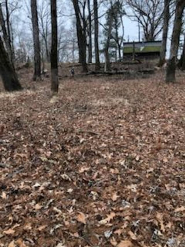 Listing photo 3 for 0 Cypert Bluff Rd, Georgetown AR 72143