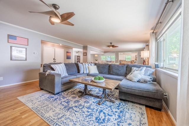 living room with ceiling fan, wood-type flooring, and ornamental molding