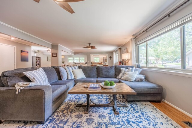 living room with ornamental molding, ceiling fan, and hardwood / wood-style floors