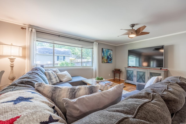 living room with ceiling fan, hardwood / wood-style flooring, and ornamental molding