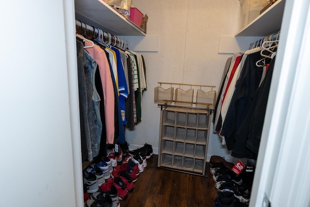 spacious closet with dark wood-type flooring