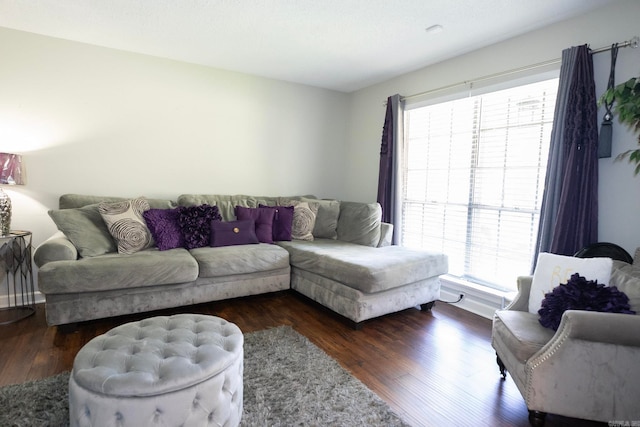 living room with dark wood-type flooring