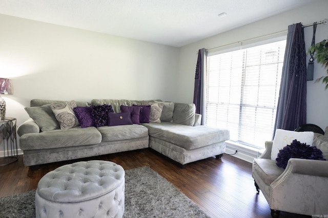 living room featuring dark wood-type flooring