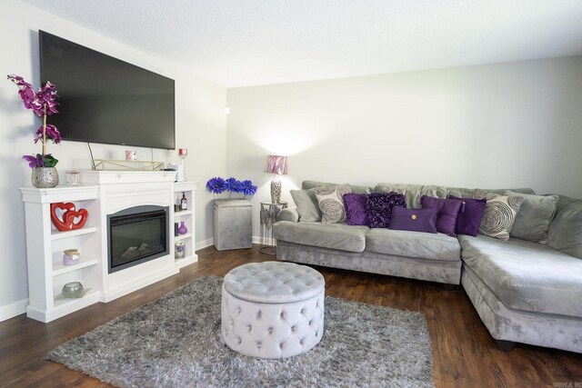 living room with dark hardwood / wood-style floors