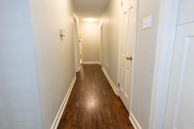 hall featuring dark wood-type flooring