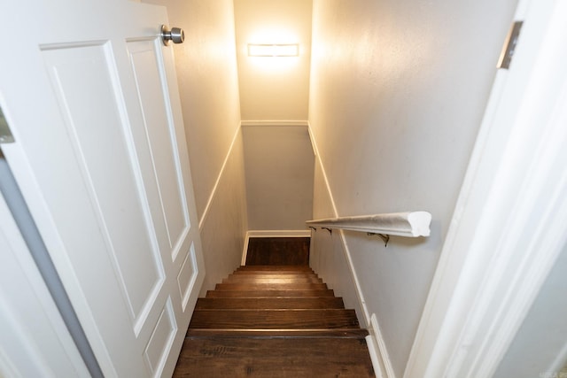 staircase featuring hardwood / wood-style flooring