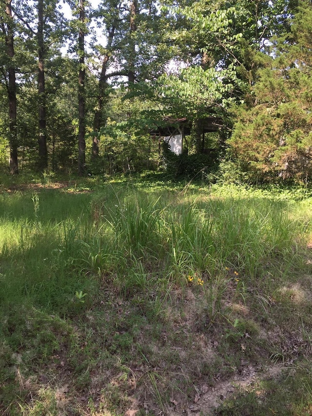 Listing photo 2 for LOTS35THRU39 Trout, Perryville AR 72126