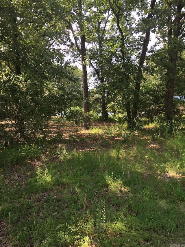 Listing photo 3 for LOTS35THRU39 Trout, Perryville AR 72126