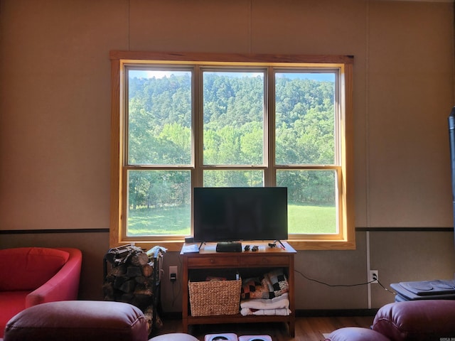 living room featuring hardwood / wood-style flooring and a healthy amount of sunlight