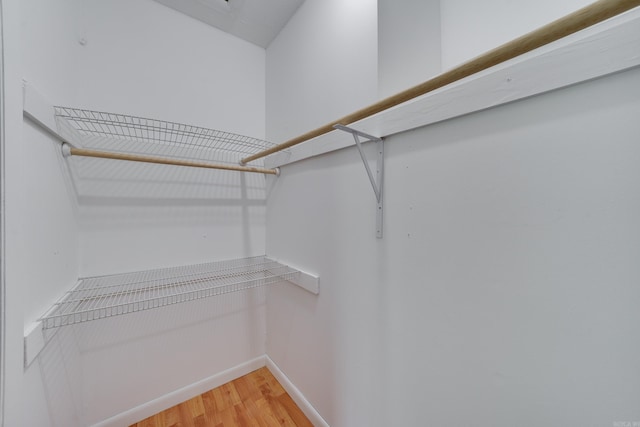 spacious closet featuring light hardwood / wood-style floors