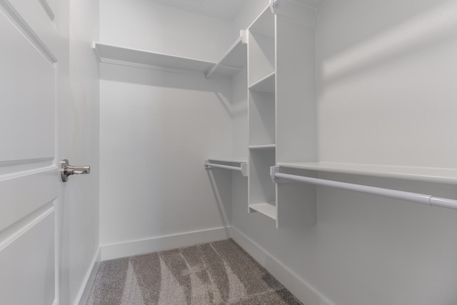 spacious closet with carpet flooring