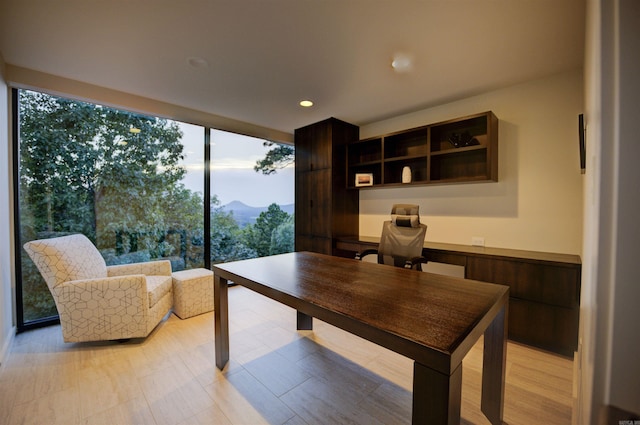 office with a mountain view and light wood-type flooring