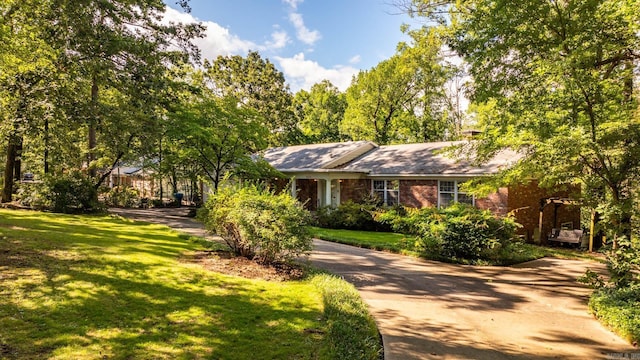 ranch-style house featuring a front yard