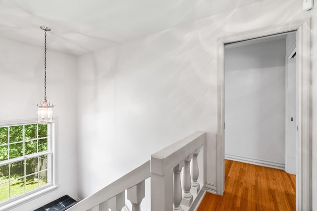 hallway with wood-type flooring