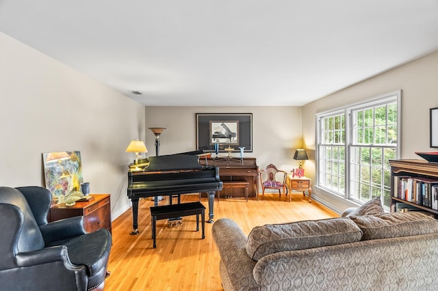 living room featuring light hardwood / wood-style floors