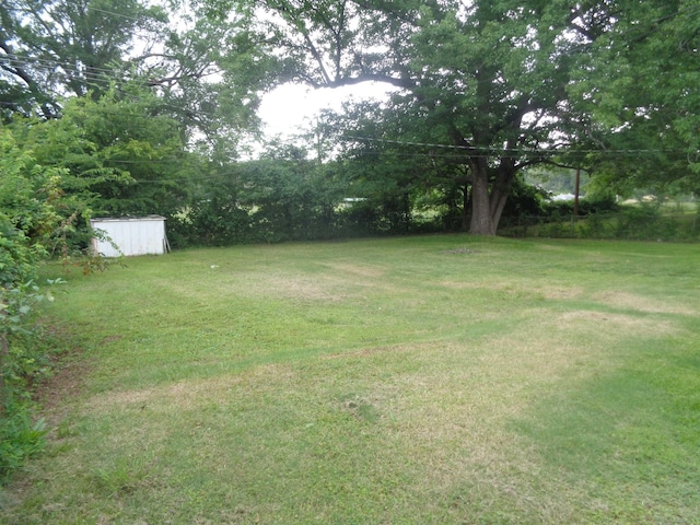 view of yard