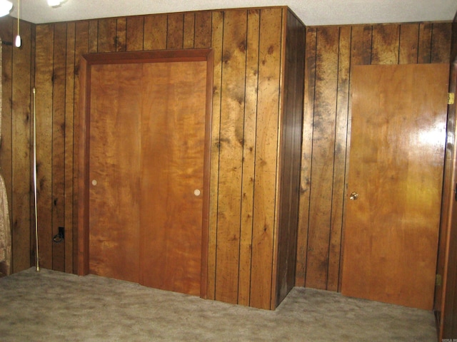 901 Hastey Ave, Mena, AR 71953 - interior space with wooden walls and carpet flooring