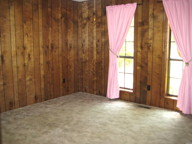 901 Hastey Ave, Mena, AR 71953 - unfurnished room with wooden walls, plenty of natural light, and carpet floors