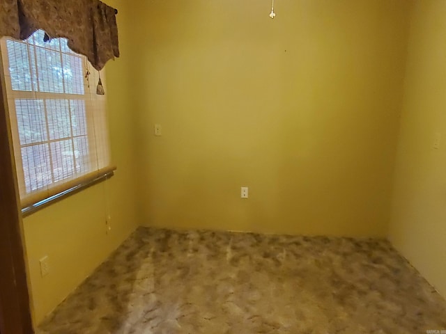 901 Hastey Ave, Mena, AR 71953 - carpeted spare room with a wealth of natural light