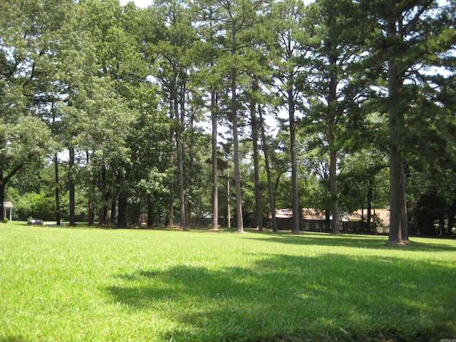 901 Hastey Ave, Mena, AR 71953 - view of yard