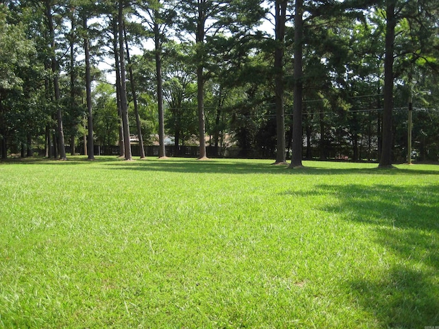 901 Hastey Ave, Mena, AR 71953 - view of yard