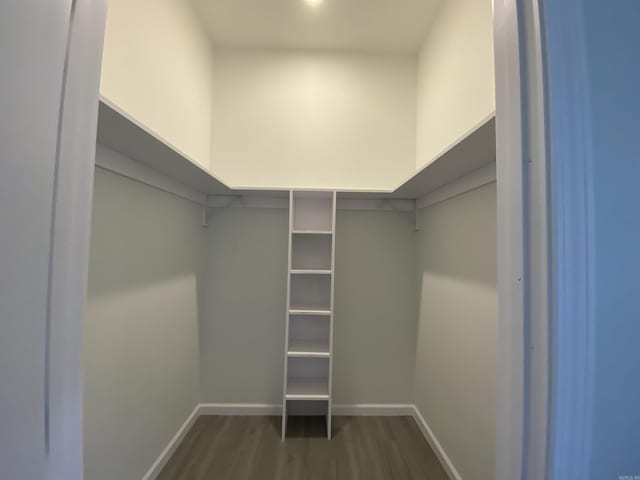 spacious closet featuring dark hardwood / wood-style floors