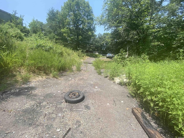 caption unavailable