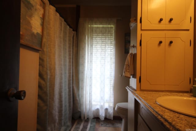 bathroom featuring toilet and vanity