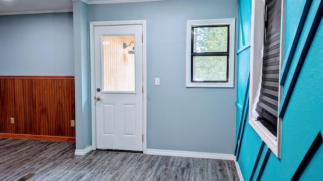 foyer with wood-type flooring