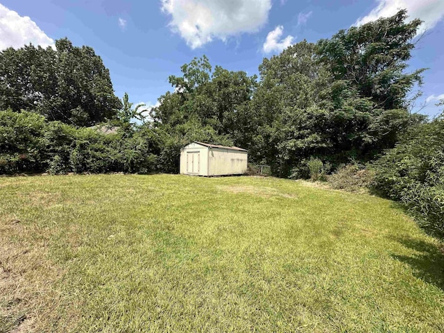 view of yard featuring a storage unit