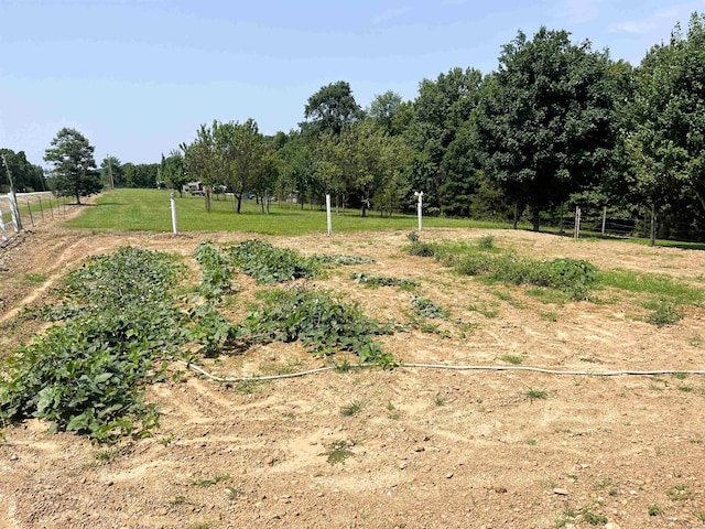 view of yard with a rural view