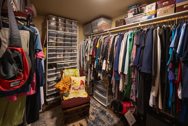 view of walk in closet