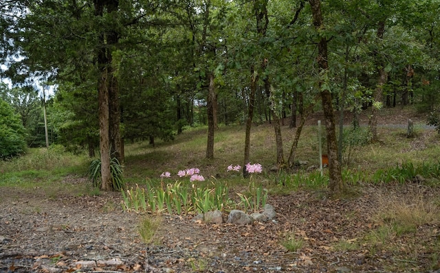 view of nature