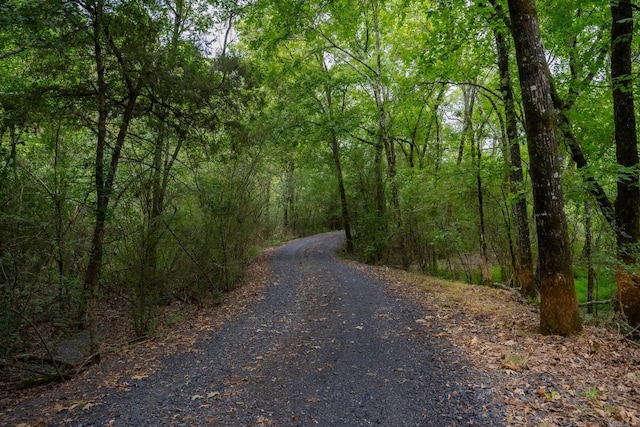 view of road