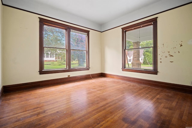 spare room with wood-type flooring