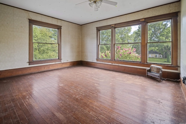 unfurnished room with a ceiling fan and hardwood / wood-style floors