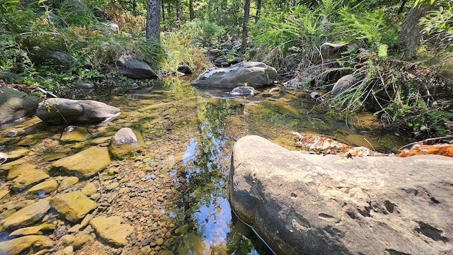 view of yard with a water view