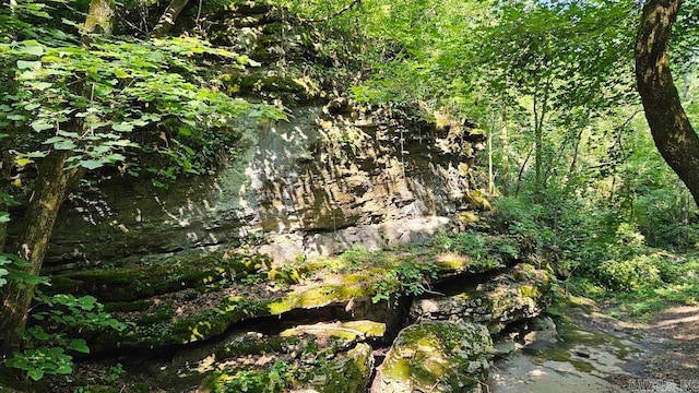 view of landscape featuring a water view