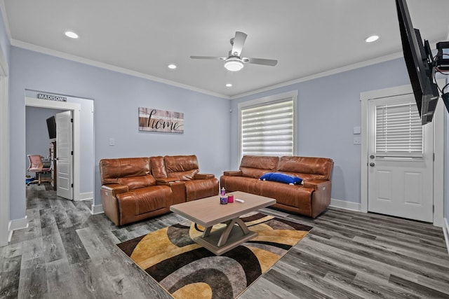 living room featuring ceiling fan, wood-type flooring, and crown molding