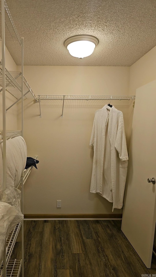 spacious closet with hardwood / wood-style floors