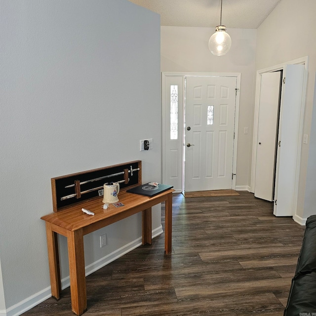 foyer featuring dark wood-type flooring