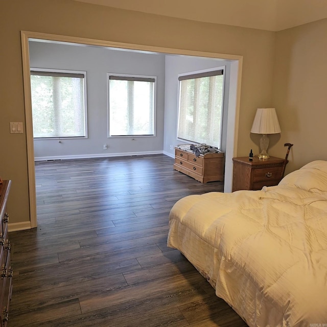 bedroom featuring dark hardwood / wood-style flooring and multiple windows