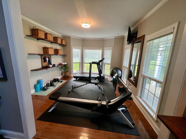 exercise room featuring plenty of natural light, dark hardwood / wood-style flooring, and crown molding