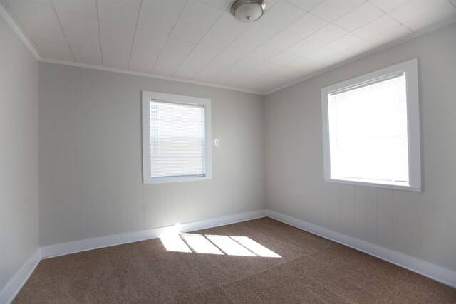 carpeted empty room featuring crown molding