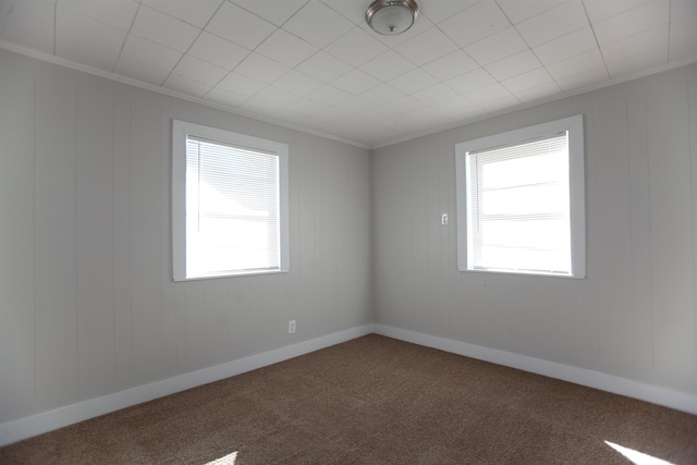 carpeted empty room featuring ornamental molding