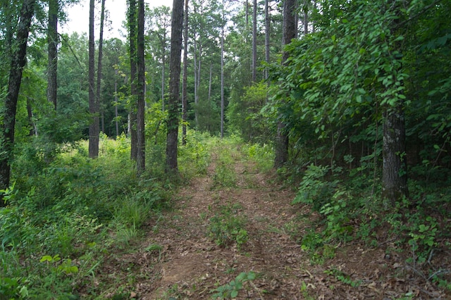 Listing photo 3 for 4.84AC Gr 7740th Rd, Paragould AR 72450