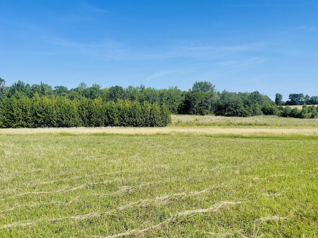 view of yard with a rural view